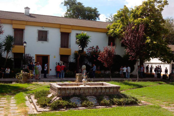 instituto Torrealba